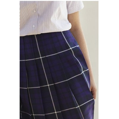 Plaid skirt navy blue discount